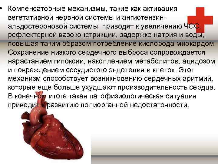  • Компенсаторные механизмы, такие как активация вегетативной нервной системы и ангиотензин альдостероновой системы,