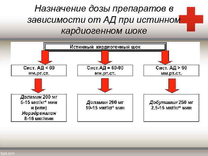 Назначение дозы препаратов в зависимости от АД при истинном кардиогенном шоке 