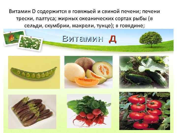 Витамин D содержится в говяжьей и свиной печени; печени трески, палтуса; жирных океанических сортах