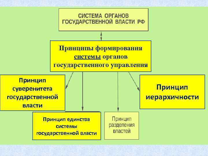 Проект механизм государства