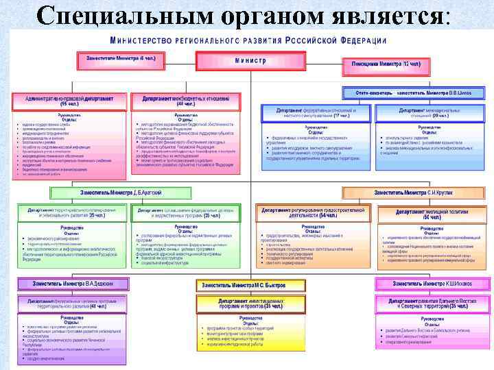 Специальные органы управления