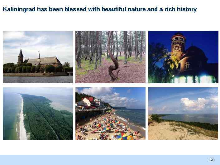 Kaliningrad has been blessed with beautiful nature and a rich history | 231 