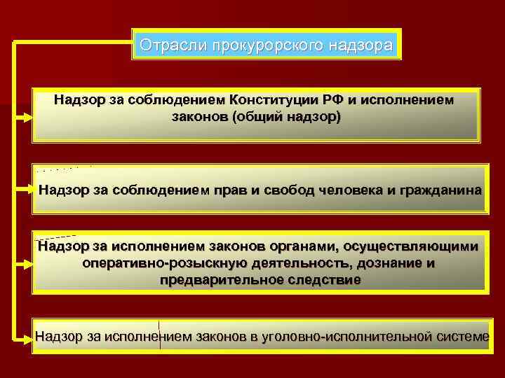 Отрасли прокурорского надзора Надзор за соблюдением Конституции РФ и исполнением законов (общий надзор) Надзор