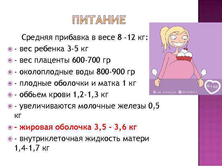 Средняя прибавка в весе 8 -12 кг: - вес ребенка 3 -5 кг -