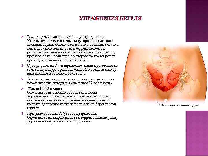 УПРАЖНЕНИЯ КЕГЕЛЯ В свое время американский акушер Арнольд Кегель немало сделал для популяризации данной