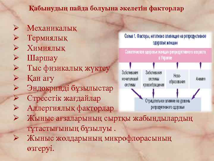 Қабынудың пайда болуына әкелетін факторлар Ø Ø Ø Ø Ø Механикалық Термиялық Химиялық Шаршау