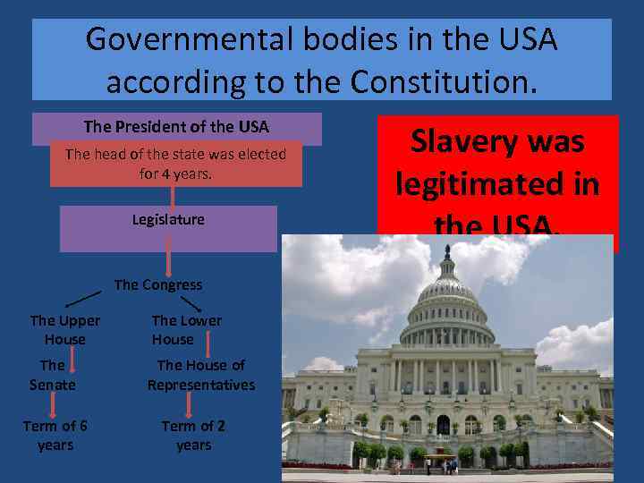 Governmental bodies in the USA according to the Constitution. The President of the USA