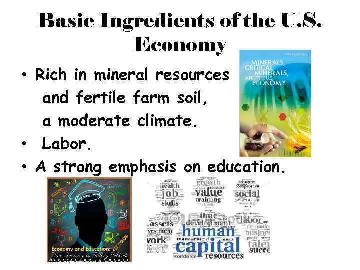 Basic Ingredients of the U. S. Economy • Rich in mineral resources and fertile