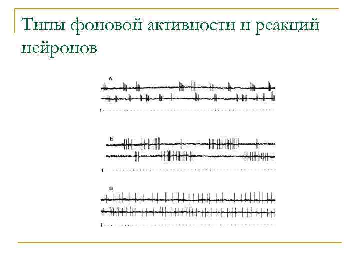 Типы фоновой активности и реакций нейронов 