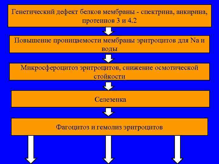 Генетический дефект белков мембраны - спектрина, анкирина, протеинов 3 и 4. 2 Повышение проницаемости