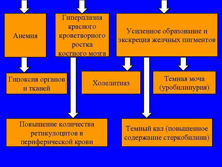 Анемия Гиперплазия красного кроветворного ростка костного мозга Гипоксия органов и тканей Усиленное образование и