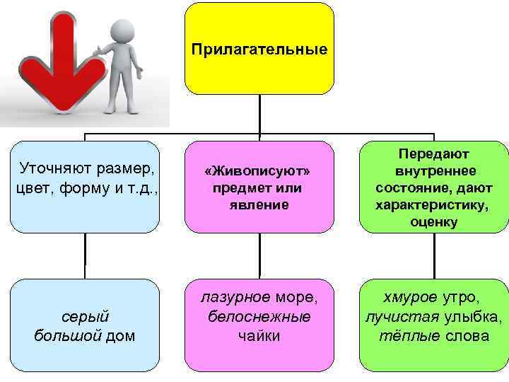 Прилагательные Уточняют размер, цвет, форму и т. д. , серый большой дом «Живописуют» предмет