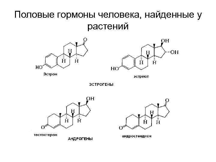 Половые гормоны человека, найденные у растений 