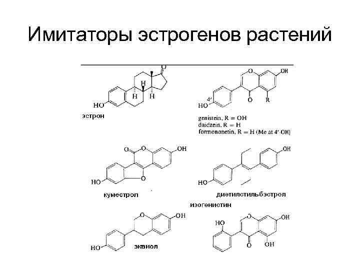 Имитаторы эстрогенов растений 