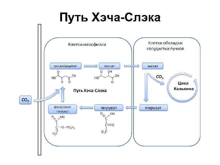 Путь Хэча-Слэка 