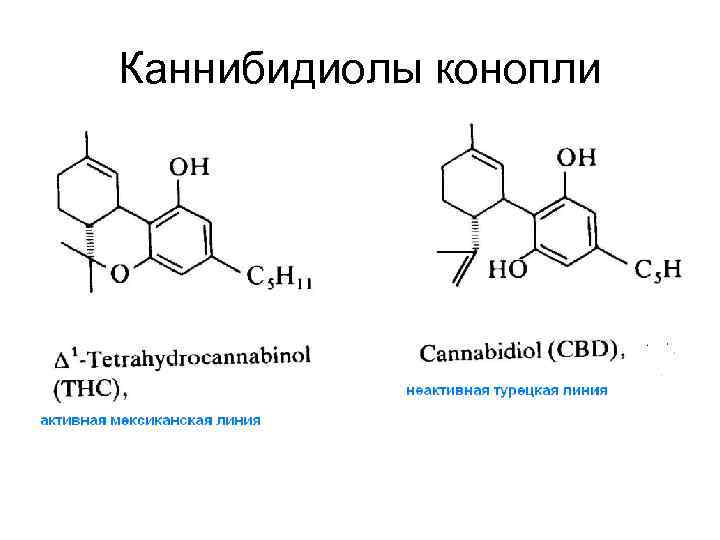 Каннибидиолы конопли 