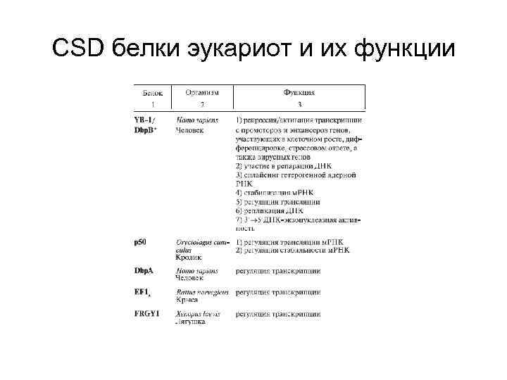 CSD белки эукариот и их функции 