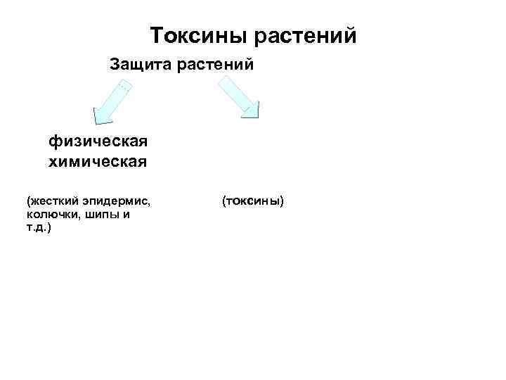 Токсины растений Защита растений физическая химическая (жесткий эпидермис, колючки, шипы и т. д. )