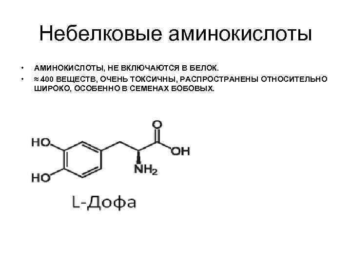 Небелковые аминокислоты • • АМИНОКИСЛОТЫ, НЕ ВКЛЮЧАЮТСЯ В БЕЛОК. ≈ 400 ВЕЩЕСТВ, ОЧЕНЬ ТОКСИЧНЫ,