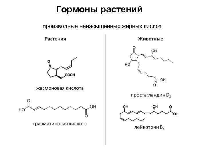 Гормоны растений производные ненасыщенных жирных кислот 