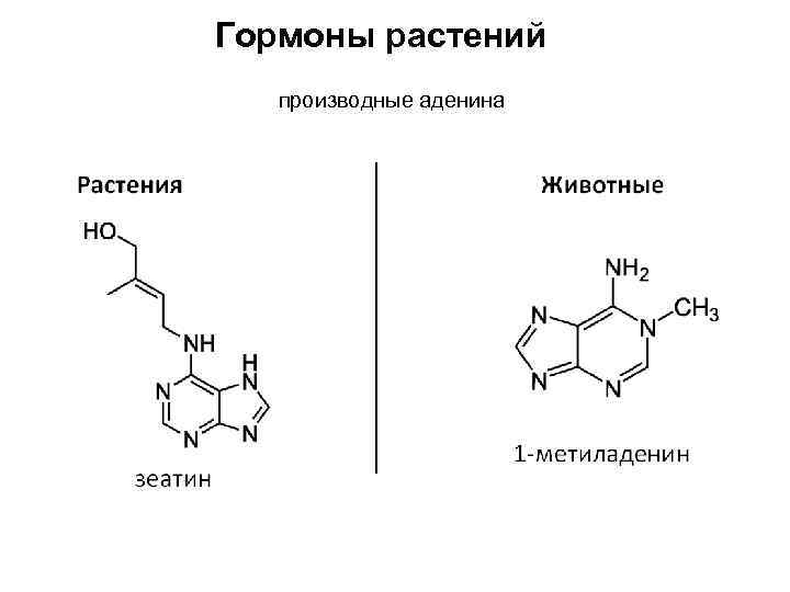 Гормоны растений производные аденина 