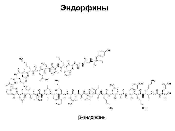 Включи эндорфин. Эндорфины химическая формула. Химическое строение эндорфина. Эндорфин гормон формула химическая. Формула эндорфинов химическая формула.