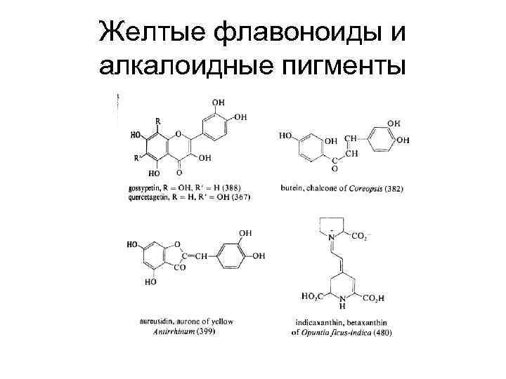 Желтые флавоноиды и алкалоидные пигменты 