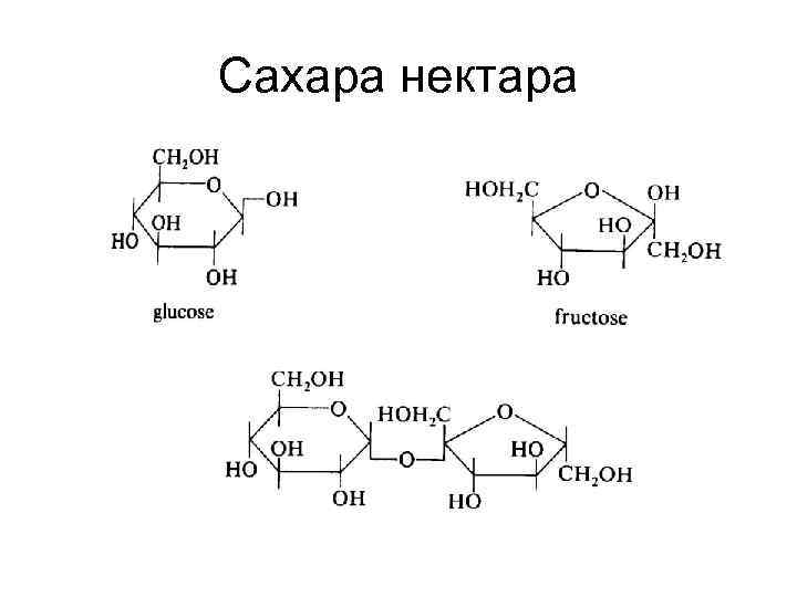 Сахара нектара 