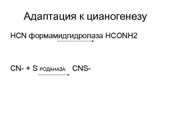 Адаптация к цианогенезу HCN формамидгидролаза HCONH 2 CN- + S РОДАНАЗА CNS- 