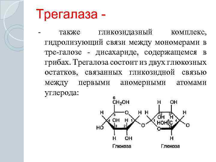 Глюкоза является мономером. Формула строения трегалоза. Структурная формула трегалозы. Трегалоза Тип гликозидной связи. Трегалоза структурная формула.