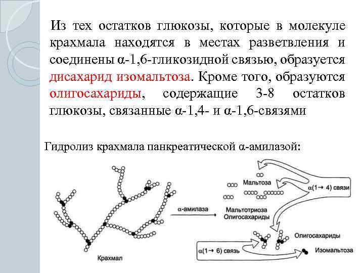 Из тех остатков глюкозы, которые в молекуле крахмала находятся в местах разветвления и соединены