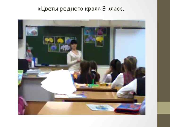  «Цветы родного края» 3 класс. 