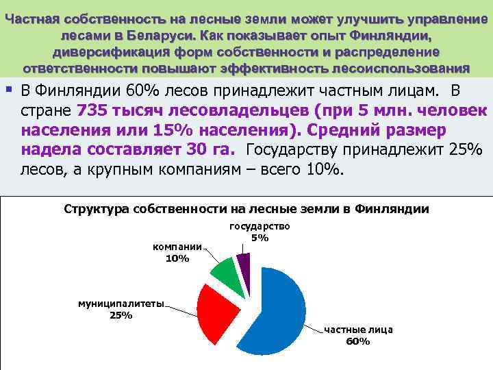 Частная собственность на лесные земли может улучшить управление лесами в Беларуси. Как показывает опыт