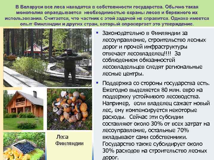В Беларуси все леса находятся в собственности государства. Обычно такая монополия оправдывается необходимостью охраны