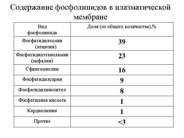 Содержание фосфолипидов в плазматической мембране Вид фосфолипида Доля (от общего количества), % Фосфатидилхолин (лецитин)