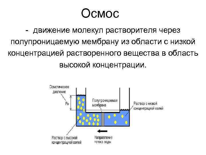 Осмос - движение молекул растворителя через полупроницаемую мембрану из области с низкой концентрацией растворенного