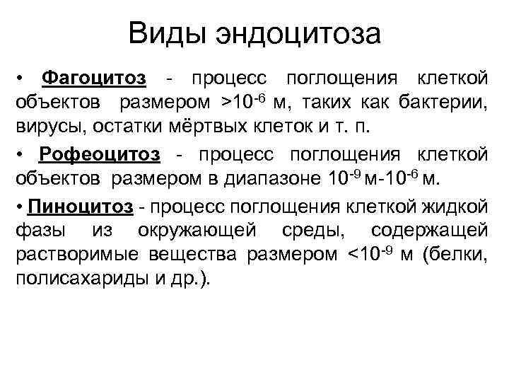 Виды эндоцитоза • Фагоцитоз - процесс поглощения клеткой объектов размером >10 -6 м, таких