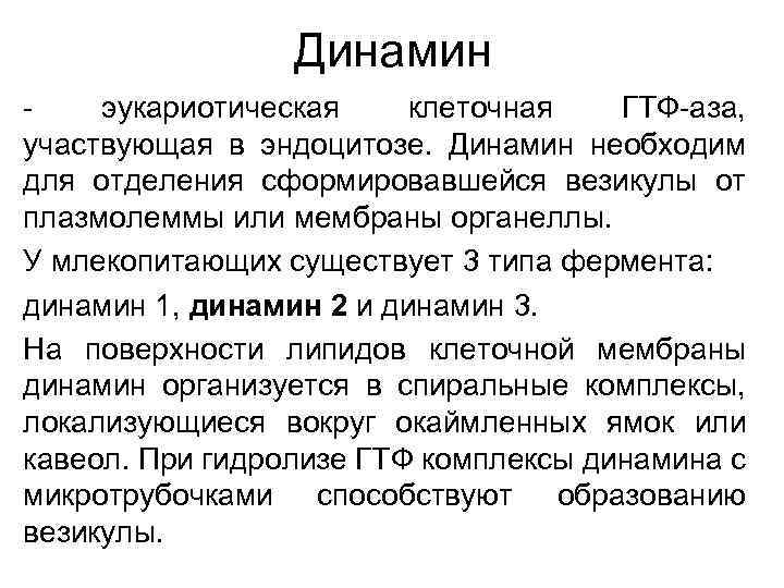 Динамин - эукариотическая клеточная ГТФ-аза, участвующая в эндоцитозе. Динамин необходим для отделения сформировавшейся везикулы