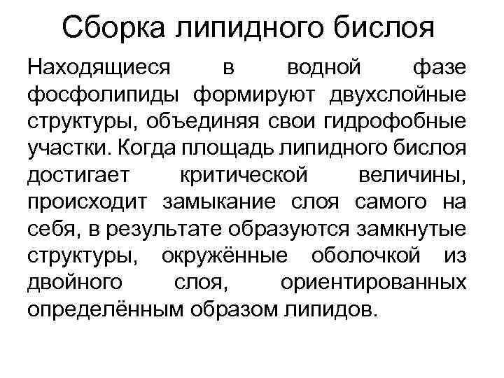 Сборка липидного бислоя Находящиеся в водной фазе фосфолипиды формируют двухслойные структуры, объединяя свои гидрофобные