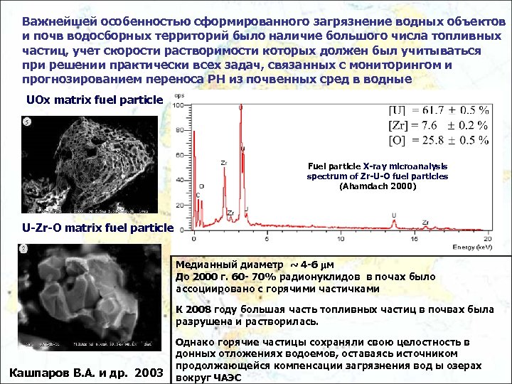 Важнейшей особенностью сформированного загрязнение водных объектов и почв водосборных территорий было наличие большого числа