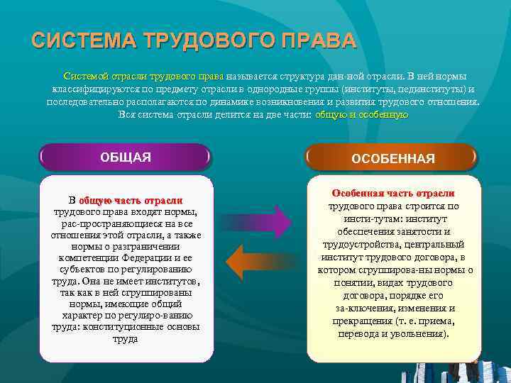 Нормальный предмет. Система норм трудового права. Отрасли трудового права. Нормы отрасли трудового права. Система отрасли трудового права понятие структура.