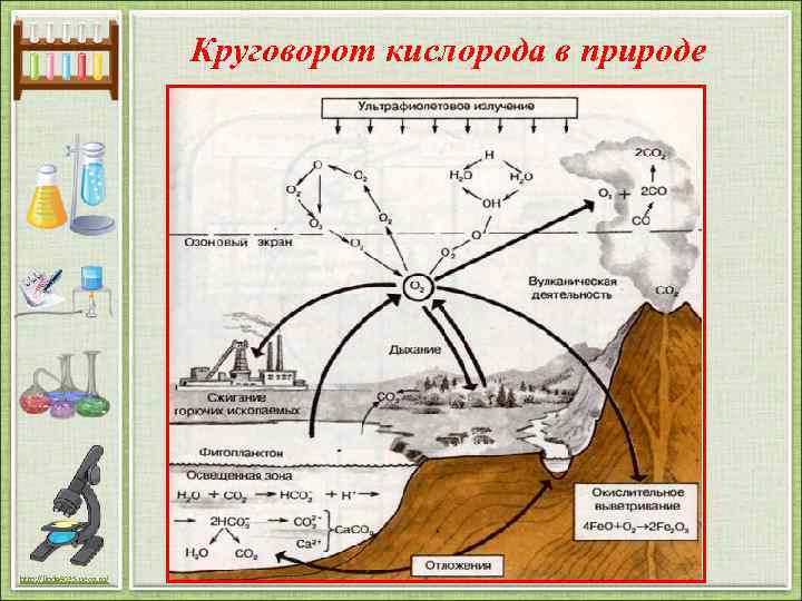 Круговорот кислорода в природе http: //linda 6035. ucoz. ru/ 