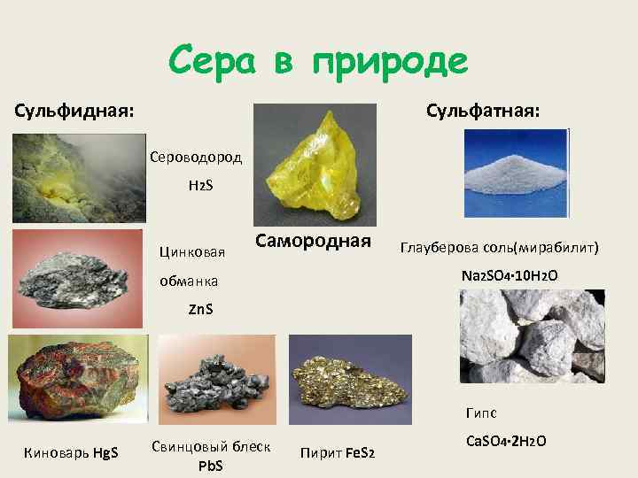 Сера в природе Сульфидная: Cульфатная: Сероводород H 2 S Цинковая Самородная Глауберова соль(мирабилит) Na
