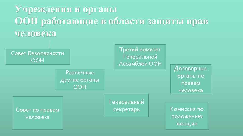 Органы оон по правам человека. Защита прав человека органами ООН. Договорные органы ООН по правам человека. Международные договорные органы в сфере прав человека. К договорным органам ООН относятся:.