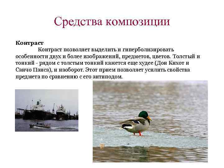 Средства композиции Контраст позволяет выделить и гиперболизировать особенности двух и более изображений, предметов, цветов.