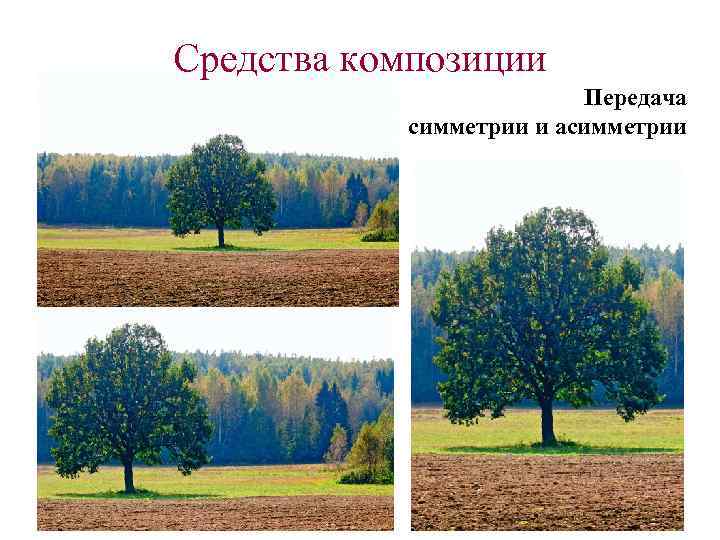 Средства композиции Передача симметрии и асимметрии 