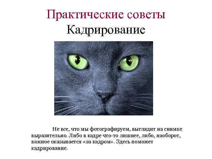 Практические советы Кадрирование Не все, что мы фотографируем, выглядит на снимке выразительно. Либо в