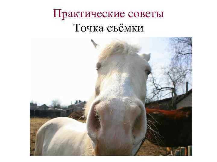 Практические советы Точка съёмки 