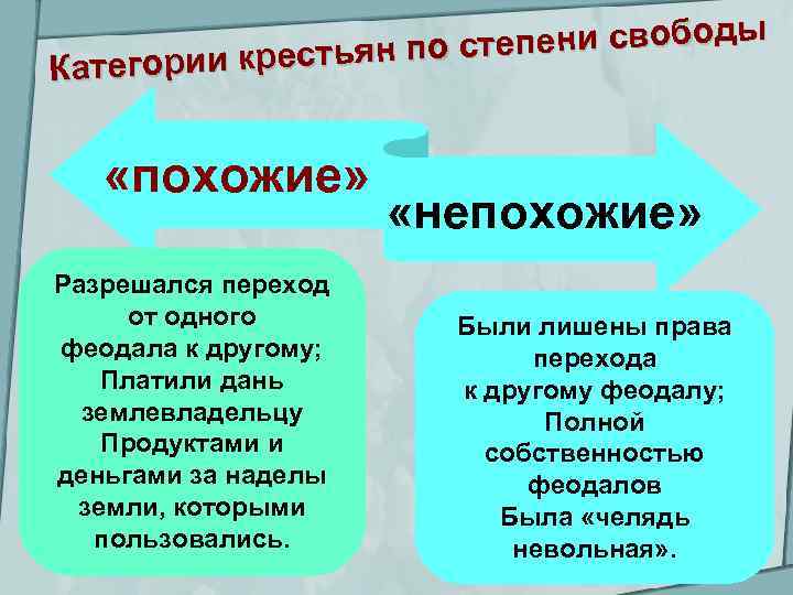 Обществознание 6 класс презентация на тему такие похожие непохожие