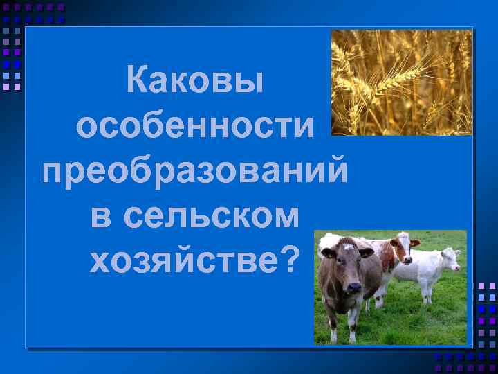 Каковы особенности преобразований в сельском хозяйстве? 